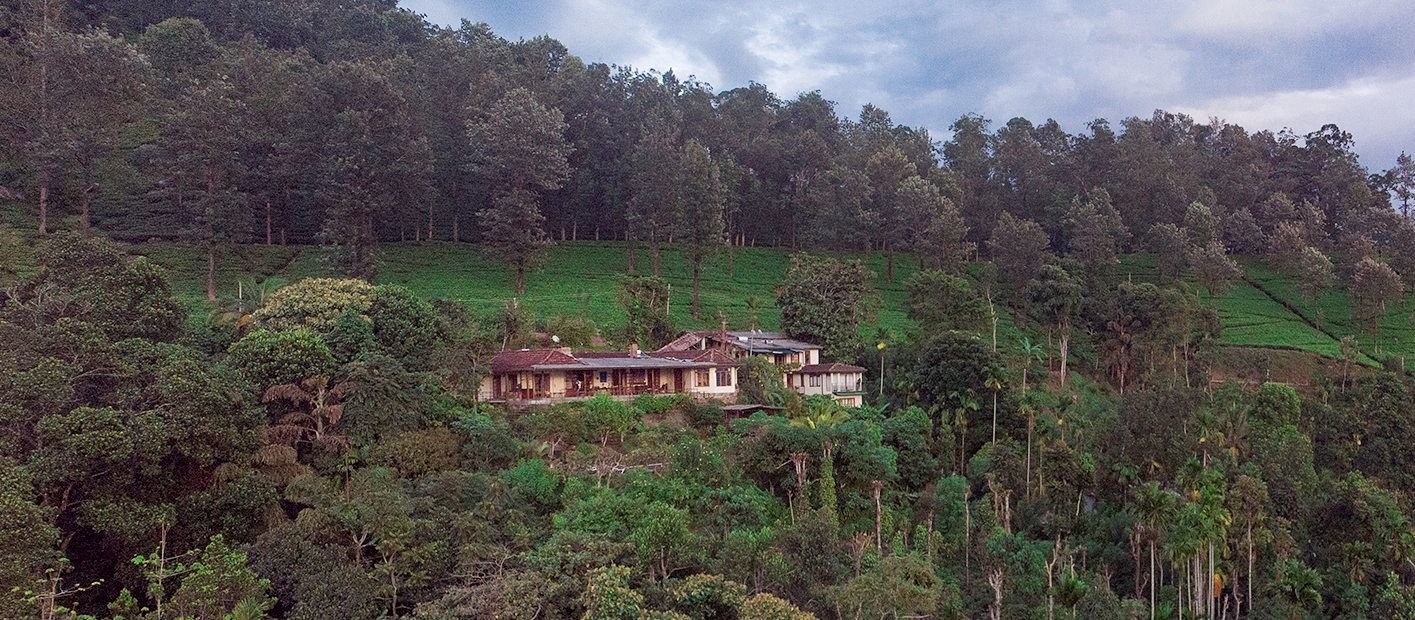 Hill walking with views of the Knuckles range