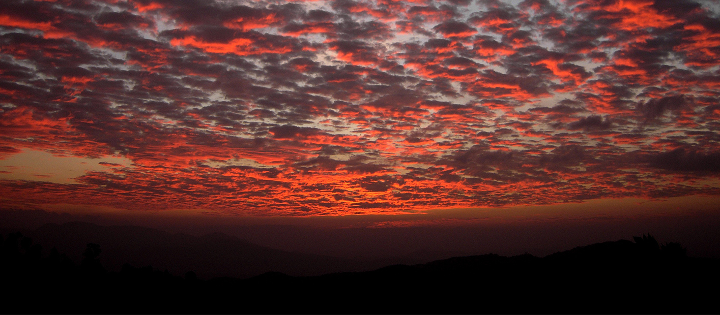 Relax by the pool and verandah at Rangala House