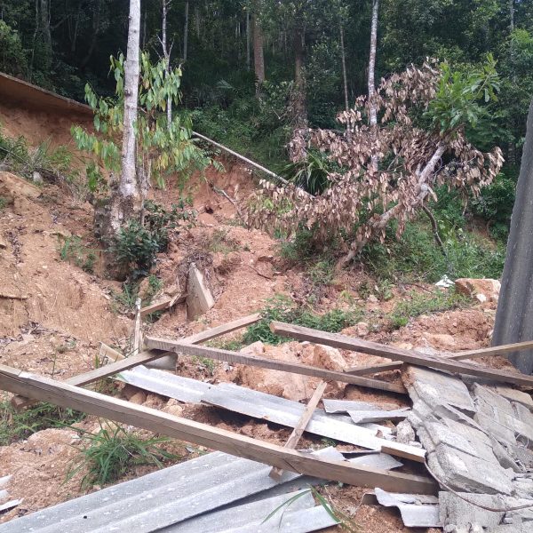 WhatsApp Image 2026-02-22 at 4.30.59 PM