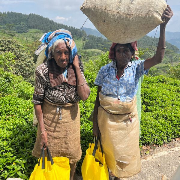 WhatsApp Image 2026-02-25 at 8.37.11 AM